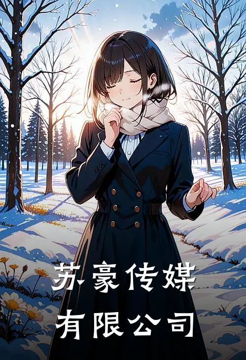 苏豪传媒有限公司